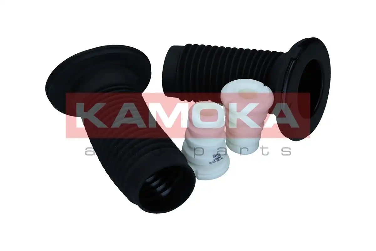 KAMOKA 2019249