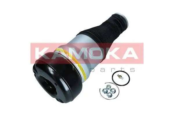 KAMOKA 2079058