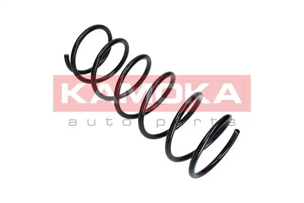 KAMOKA 2110053