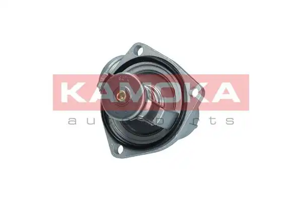 KAMOKA 7710081