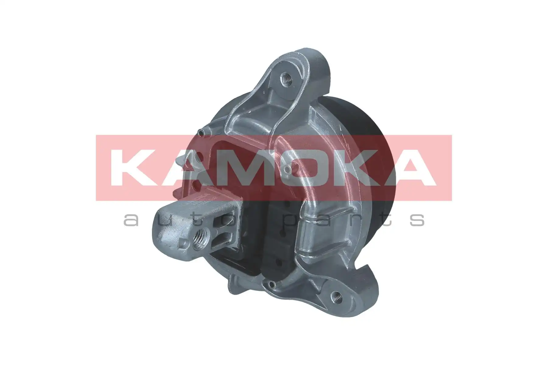 KAMOKA 890421