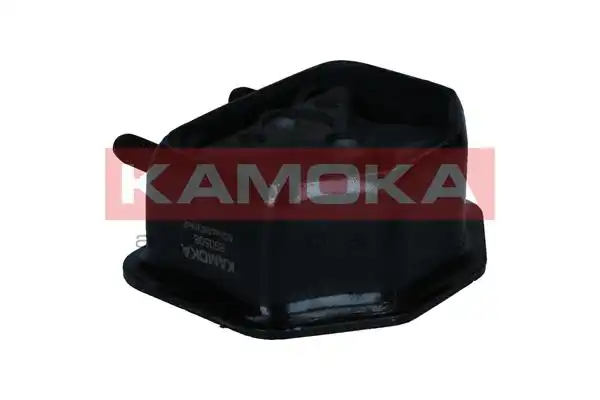 KAMOKA 890508