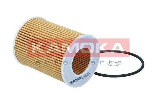 KAMOKA F125301