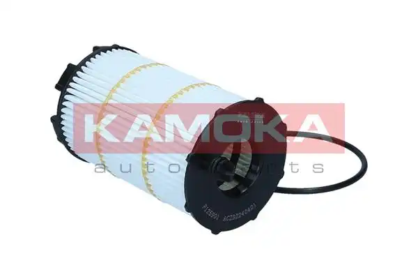 KAMOKA F125901