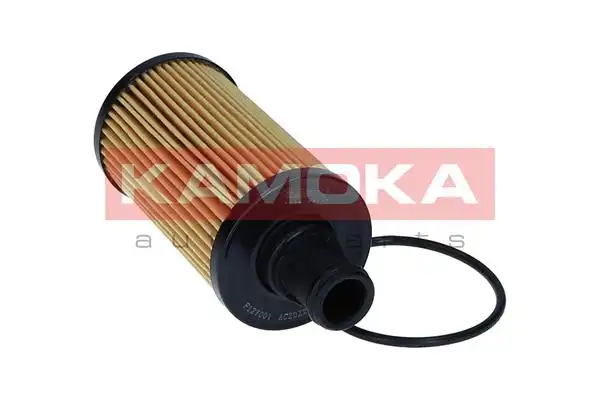 KAMOKA F127001