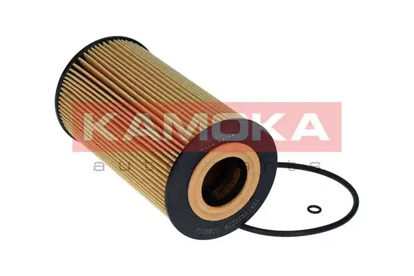 KAMOKA F129801