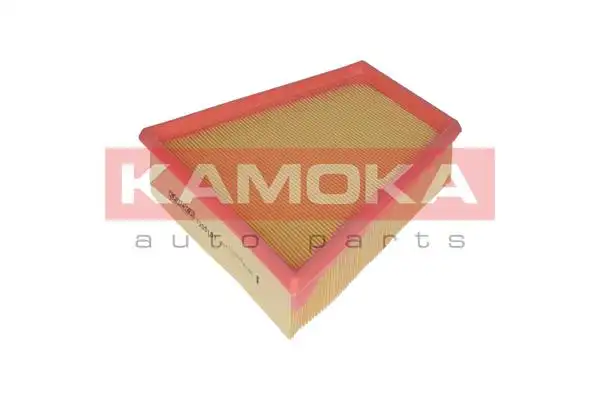 KAMOKA F205101