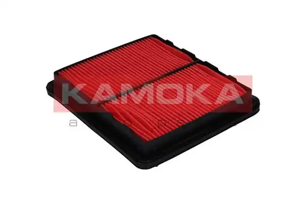 KAMOKA F207601