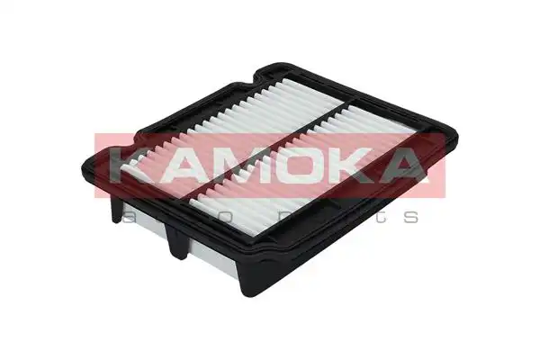KAMOKA F210601