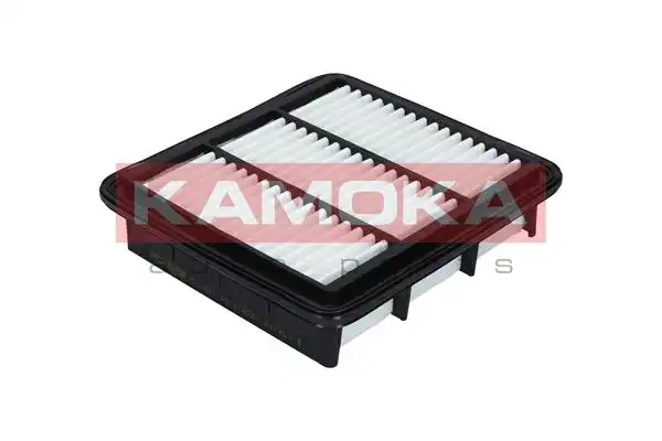 KAMOKA F213001