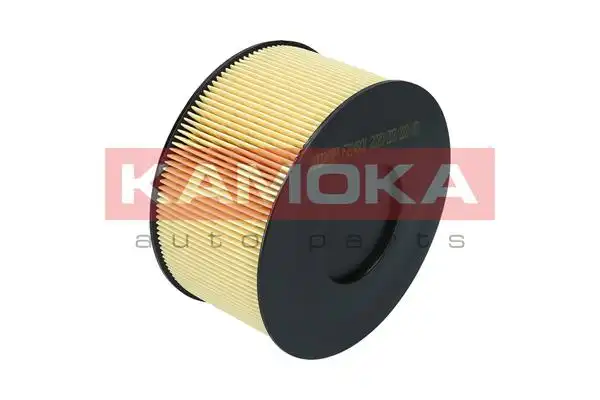 KAMOKA F214901
