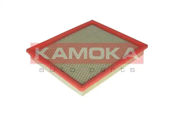 KAMOKA F217001