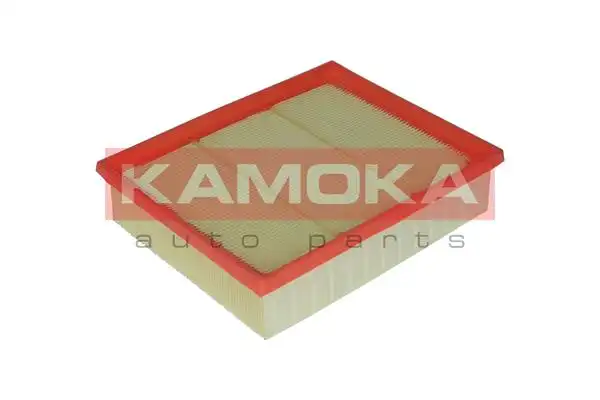 KAMOKA F219801