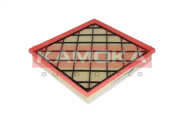 KAMOKA F220801