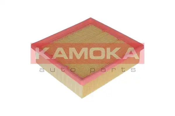 KAMOKA F222001