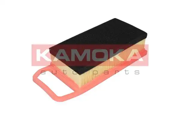 KAMOKA F223801