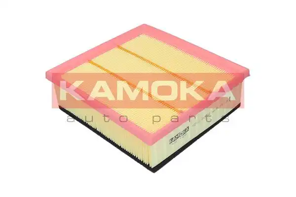 KAMOKA F225101
