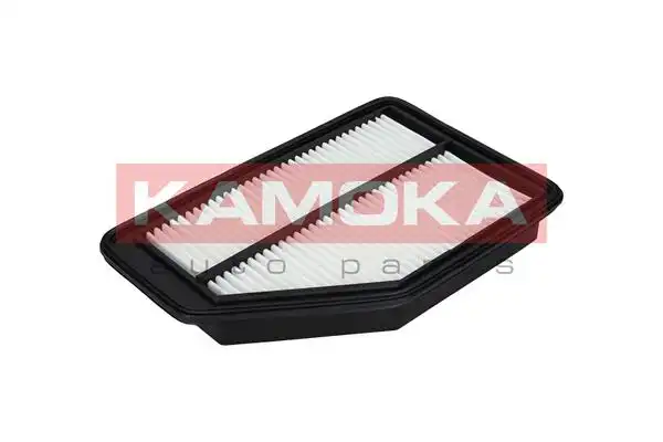 KAMOKA F225801