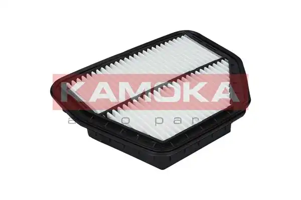 KAMOKA F226901