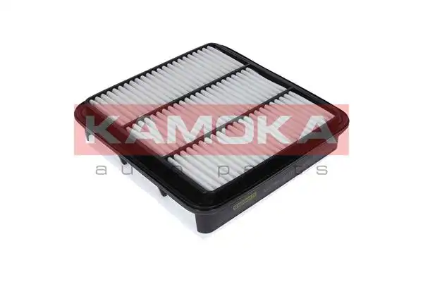 KAMOKA F227401
