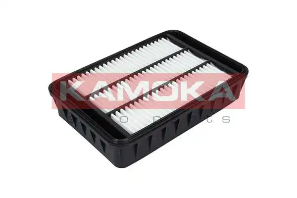KAMOKA F227601