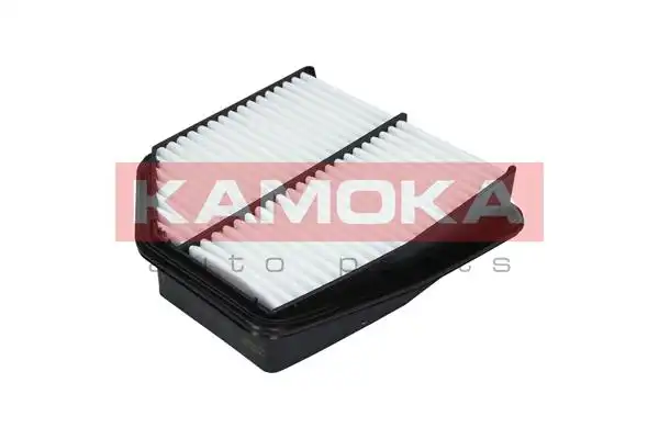 KAMOKA F232501