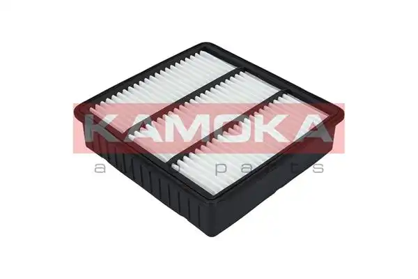 KAMOKA F232601