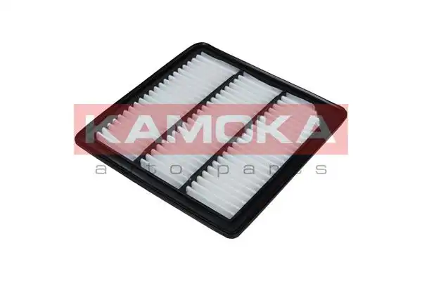 KAMOKA F238101