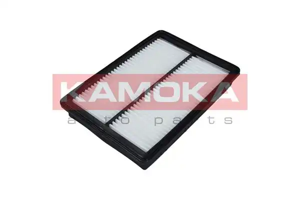 KAMOKA F238901