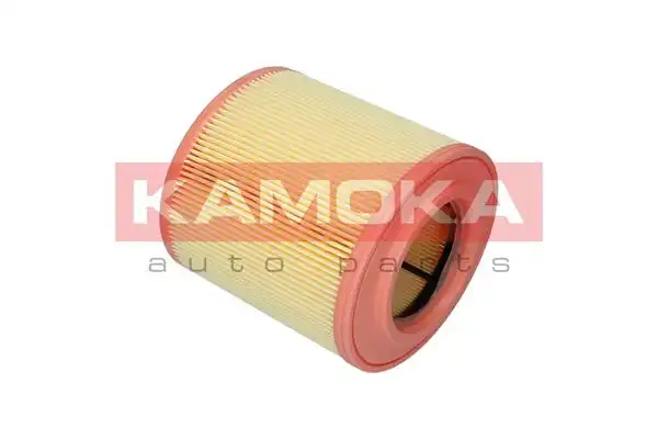 KAMOKA F242801