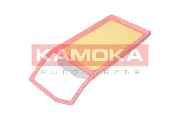 KAMOKA F244301