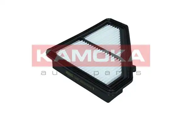 KAMOKA F244901