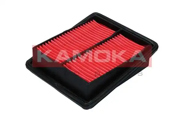 KAMOKA F245301
