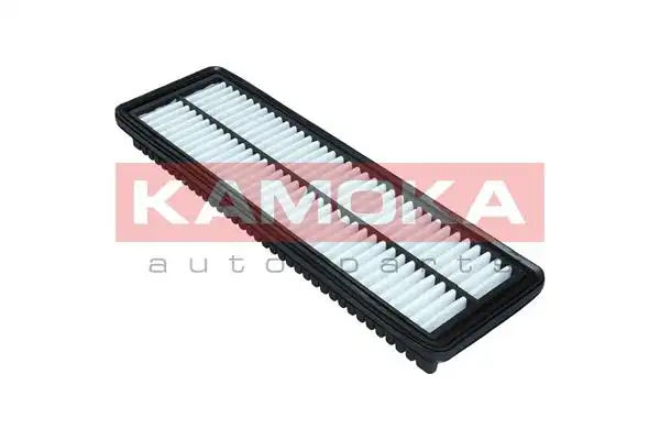 KAMOKA F246801