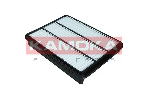 KAMOKA F248701