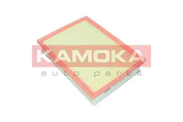 KAMOKA F248801