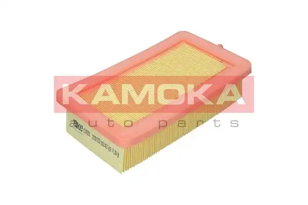 KAMOKA F249201