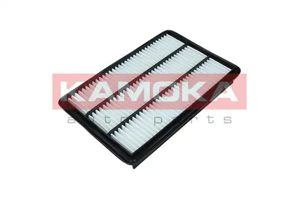 KAMOKA F249801