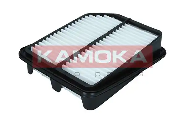 KAMOKA F249901
