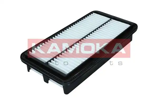 KAMOKA F250701