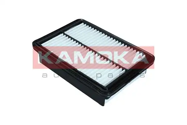 KAMOKA F252001