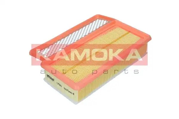 KAMOKA F253001