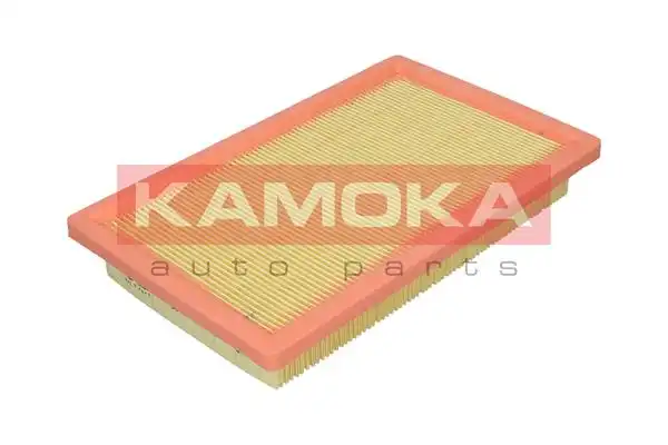 KAMOKA F253401