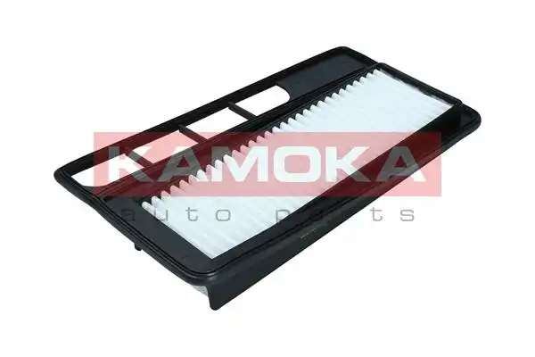 KAMOKA F253701