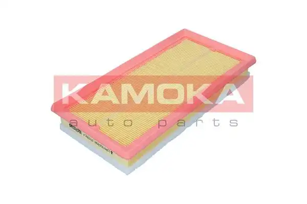 KAMOKA F255101