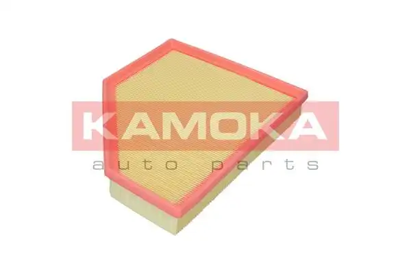 KAMOKA F255301