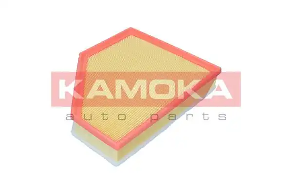 KAMOKA F255401