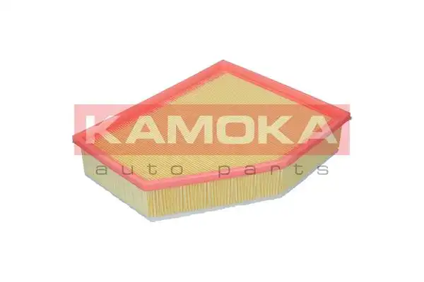 KAMOKA F255601