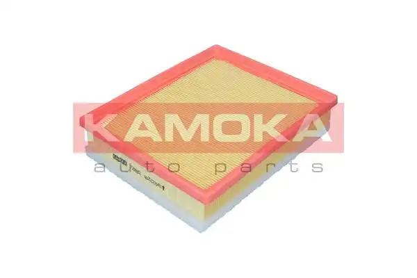 KAMOKA F256001