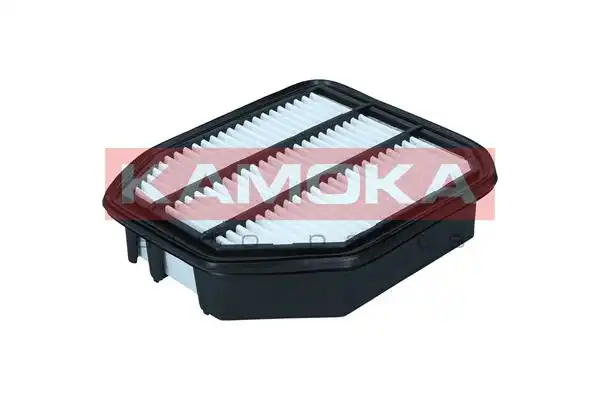 KAMOKA F256901
